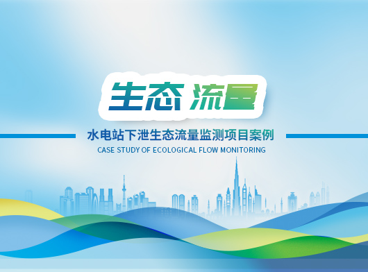 水電站生態(tài)流量泄洪監(jiān)測項目